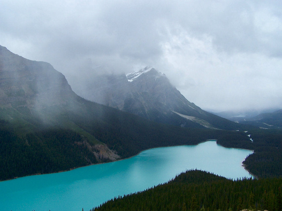 Alberta's Culinary Tapestry: A Gastronomic Journey Through Restaurants in Canada's Western Jewel